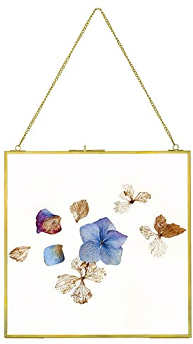 fujack Large Brass Hanging Photo Frame for Pressed Flowers, 12x12 inch Double Clear Glass DIY Artwork Picture Display Clip Frames Dried Plant Specimen Modern Wall Gold Square Ornament