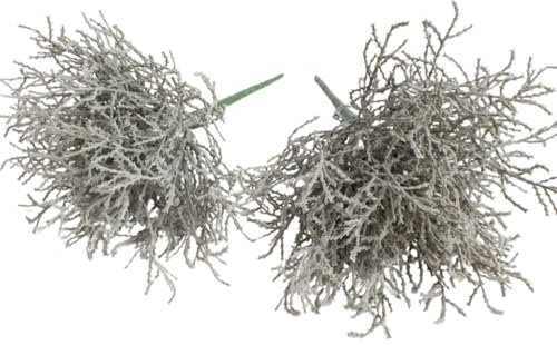 Botanic-Haus künstlicher Calocephalus (Stacheldraht Pflanze/Silberkörbchen) Farbe: grau (2 Stück)