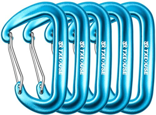Schwerlast Alu Karabiner 5 Stücke Schlüsselanhänger Karabinerhaken 12KN (1200KG) Aluminium Groß Outdoor Carabiner Auswahl aus 5 Farben ideal im Alltag & Outdoor (Blau)
