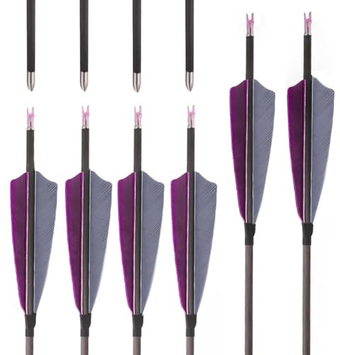 PHILOCS 12 pcs ID 4.2mm Pure-carbon Arrow Spine 300 400 500 600 700 800 900 1000 Hunting Arrow, with 4 Purple Grey Turkey Feather, for Recurve Bows Compound Bow Archery (28inch,Spine 800)