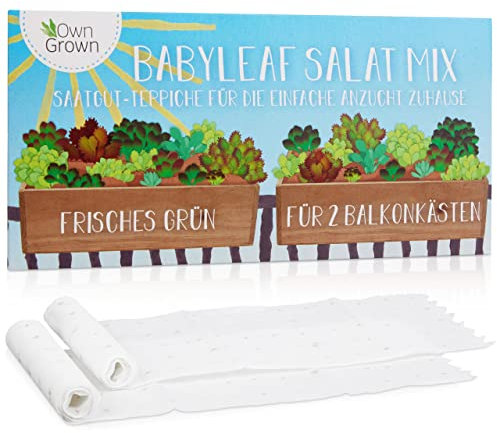 Salat Samen Mix: 2x Pflücksalat Samen Saatband zum Anbau saftiger Balkon Pflanzen – Salat Saatgut – Balkon Gemüse Samen Balkon – OwnGrown Samen Gemüse