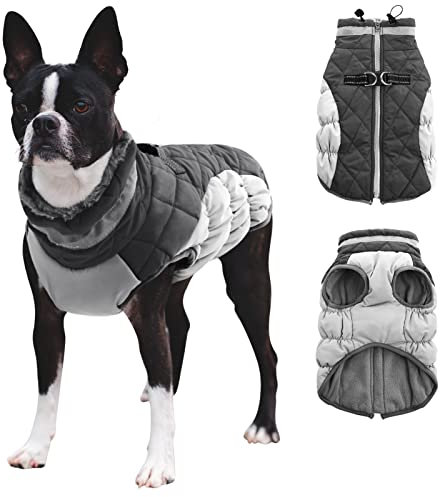 CITÉTOILE Hundemantel für Kleine Hunde,Hundemantel Winter mit Geschirr, Warme Hundejacke, Hundemantel Wasserdicht mit Fleece Gefütterte, Winddichtes Reflektierend Winterweste für Dackel, Bulldogge