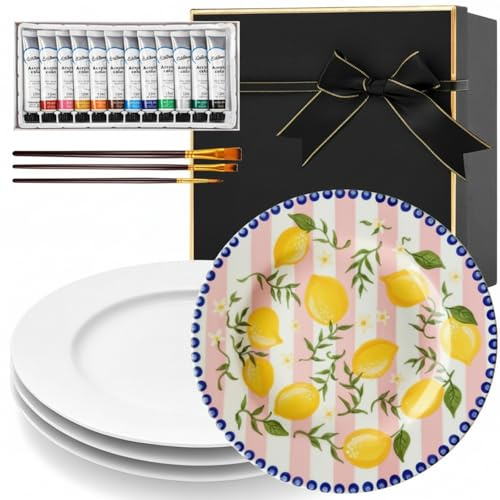Sinmoe 4 Pcs Paint Your Own Ceramic Plates Kit Includes 4 Porcelain Plates, 3 Paint Brushes and 12 Acrylic Paints & 1 Black Gift Box & 1 Palette Paintable(8 Inch, Modern Luxe)