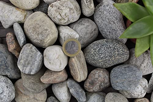 25 kg de gravier de montagne non lavé, grain 30 à 60 mm, multicolore, mélange de gravier de rhin, galets décoratifs, pierres décoratives, décoration de jardin