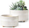 LE TAUCI Sukkulenten Topf, 16,5+20 cm Keramik Blumentopf für den Innenbereich mit Entwässerungslöchern, Moderner Zylindrischer Dekorativer Blumentopf, Geschenke für Mama, 2er-Set, Glasur Weiß