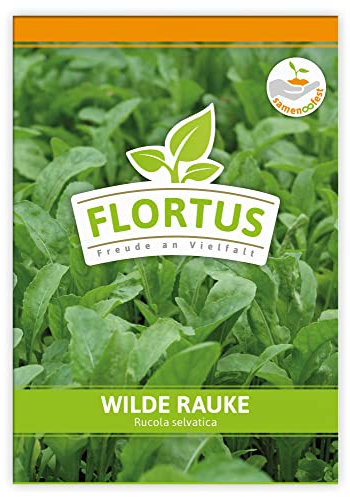 FLORTUS Wilde Rauke | Kräutersamen | Raukesamen | Rucolasamen | Samen zur Anzucht für Garten, Balkon, Küche & Fensterbank