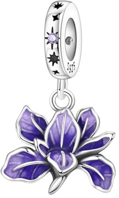 PANPOKI Charms Pendentif en argent sterling 925, charm en perle pour femmes, compatible avec les bracelets et colliers européens, Universal Kompatibilität Charms, Argent sterling, Pas de pierre