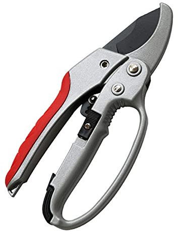 Cesoie da giardino Attrezzi da giardinaggio professionali Cesoie da potatura a cricchetto da 8 pollici Cesoie da potatura per bonsai Cesoie da giardinaggio Forbici da giardino Attrezzo da innesto Tagl