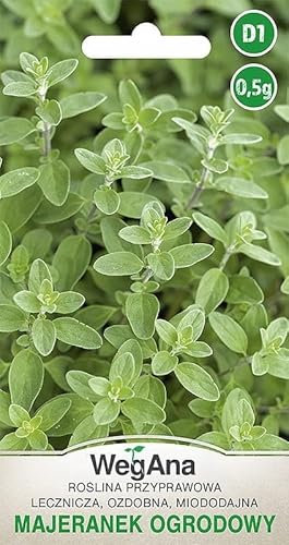 WegAna Marjolaine graines 0,5g, Herbe Graines d'herbes Robustes Graines de légumes Graines de culture Semences d'herbes de cuisine Balcon & jardin Épices