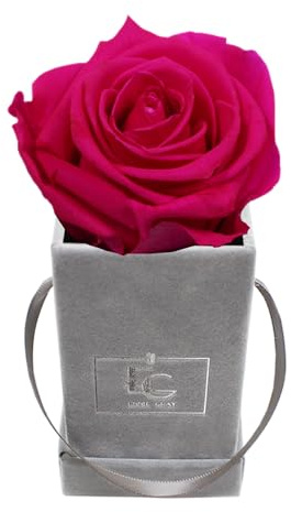 Emmie Gray Classic Infinity Rose | Velvet Grey | Fyrkantig blomlåda – Infinity rosor i grå sammetslåda – 1–3 års hållbarhet – riktiga rosor som blommar i flera år (Hot Pink)