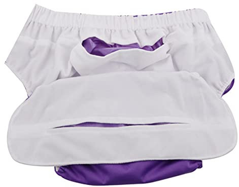 Beaupretty Windel für Erwachsene adult diaper pflegeprodukte Wasserdichte Unterwäsche erwachsenenwindel Patientenwindel wasserdichte Hose waschbare Unterwäsche Violett
