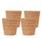 Bloomique - Geflochtener Blumentopf Maki - Set mit 4 Töpfen - Beige - Seil - Korb für Pflanzen - Innen und Außen - H13x Ø12