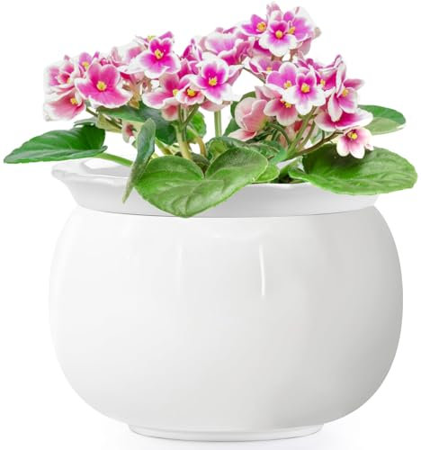 LITUDISO Vasi viola africani, vasi autoirriganti da 20 cm, vaso facile da irrigare, vaso in ceramica con vaso interno assorbente per fiori, vaso per fiori da interno, bianco