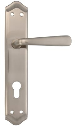 Amig - Lot de 2 poignées de plaque avec embout de 85 mm | Laiton | Chrome mat | Poignées de porte d'entrée et passage | 256 x 48 mm | Carré 8 mm | Vis incluses