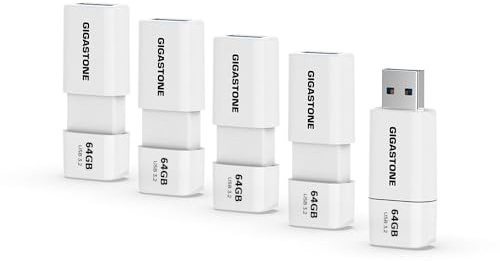 GIGASTONE Z60 Clé USB 3.1 64 Go, Lot de 5 USB, Compact Lecteur de Stylo à Performance fiable pour PC Ordinateur Mac, Compatible avec l'interface USB 2.0/3.0 Rétractable, Mini Imperméable et Robuste