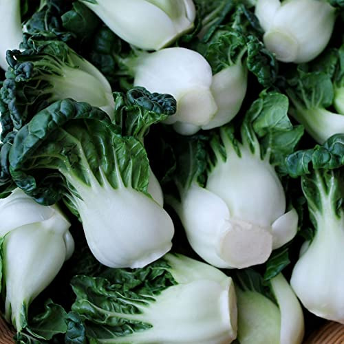 Cabbage Seeds - Pak Choi - Hotau - Hybrid - 1 Oz ~9500 Seeds - Non-GMO, F1 Hybrid - Asian Garden Vegetable