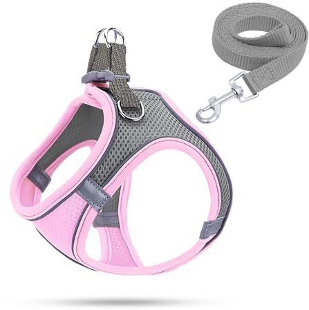 Hundegeschirr Kleine Hunde,Welpengeschirr Katzengeschirr Hunde Geschirr Leuchtend mit Leine,Curli Hundegeschirr Geschirr Hund Welpen Zubehör(Rosa,S)