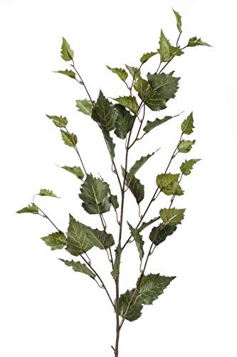 artplants.de Rama de Abedul Artificial Klimt, Verde, 95cm - Rama de Abedul Artificial - Ramita para Decorar floreros