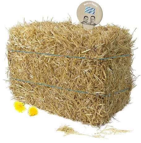 Gebrüder Goller - 10kg Strohballen - Stroh für Kaninchen, Meerschweinchen, Hamster und Hasen - Kleintier Stroh auch geeignet als Dekostroh für Stroh Deko- Stroh Ballen Direkt aus Bayern