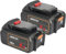 WTL 2 x DCB200 5.5A Akku für Dewalt 18V 5500mAh, kompatibel mit Allen Maschinen - LED Ladestandsanzeige - DCB182, DCB184