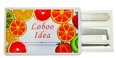 Loboo Idea Set di grimaldelli a forma di carta di credito, strumenti da fabbro, per esercitarsi in allenamento, per principianti (5 pezzi, bianco)