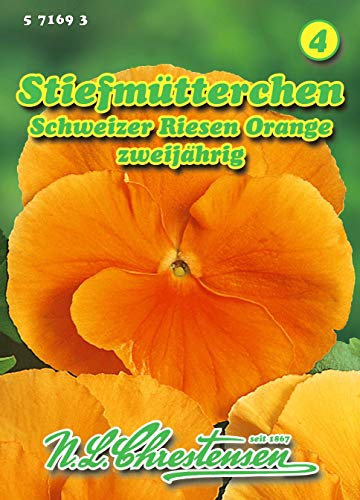 Viola wittr.‚ Stiefmütterchen, Schweizer Riesen, Orange N.L.Chrestensen