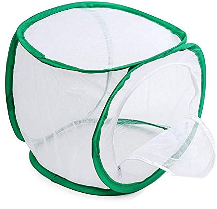 KAREN66 Schmetterlings Habitat Käfig 30 x 30 x 30 cm Insekten Habitat Käfig Schmetterlingshäuser Klappbar Lebensraum Käfig für Insekt Schmetterling (Weiß, One Size)