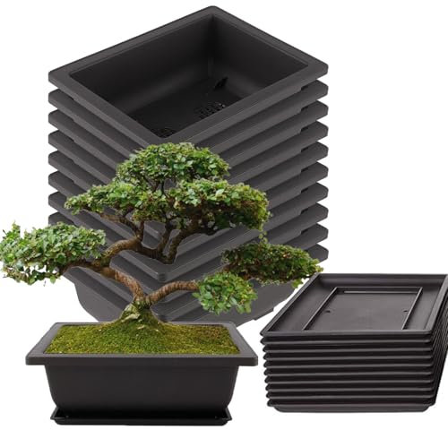 NAMYEUT 10 Stück Bonsai Trainingstöpfe 23 x 17cm, Bonsai Töpfe mit Untersetzer, Plastik Blumentopf Bonsai Bonsaischale Kunststoff Bonsai Pflanztopf für Wohnzimmer Büro Yard Garten