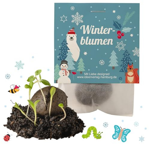 10x Winterblumen Winter Samenbomben Kindergeburtstag / treiben aus bei Kälte! / Geschenke Mitgebsel - Kinder Geburtstag Mitbringsel - Kleinigkeit give-away