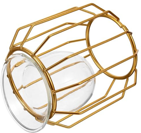 Vaguelly 1Stück Einzigartige Desktop Vase Moderne Hydroponische Vase mit Geometrischem Eisenrahmen Praktische Tischdeko für Blumen und Grünpflanzen Langlebiges