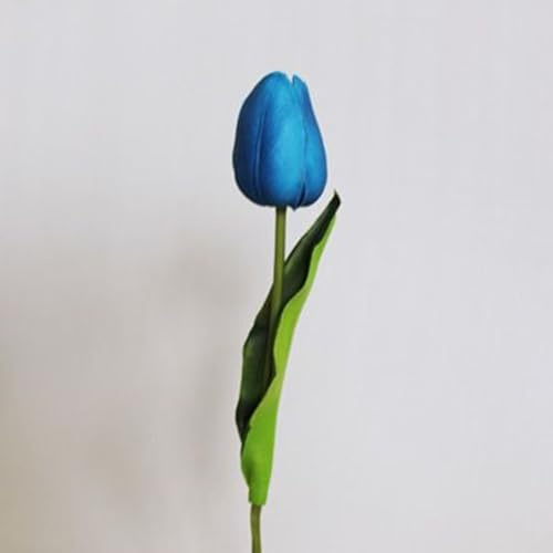 Tulipano Bulbi - Compatti, Robusti, Naturali, Freschi, Vitali-4 Bulbi-J