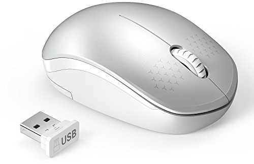 seenda Wireless Mouse for Laptop, 2.4G Noiseless Mouse,White&Silver