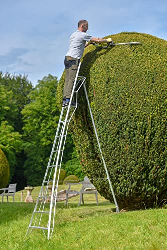 Hendon 8ft (2.4m) Aluminium Platform Lightweight Tripod Ladder with handrail - Ideal for Gardeners, DIY enthusiast, Landscapers, suitable for both outdoor and indoor use. Silver