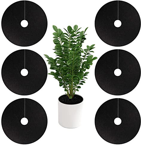 Vlies-Mulchring,Vlies-Baum-Mulchring – abbaubare Unkrautbekämpfung,wiederverwendbare Baum-Unkraut-Barriere Matte,für Unkrautbekämpfung Baumschutzmatte Wurzelschutz (6 Stück 72 cm Innenloch 8 cm)