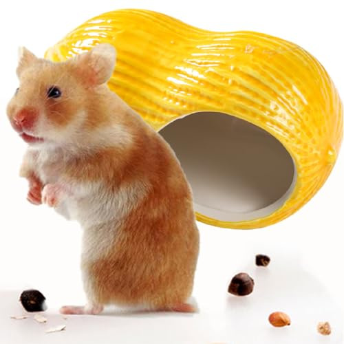 Esshogo 1 nido in ceramica per animali domestici, criceti, casetta in ceramica, per piccoli animali, criceti, criceti, casette, criceti, piccoli animali, gabbia per ricci, topo, cincillà, porcellini