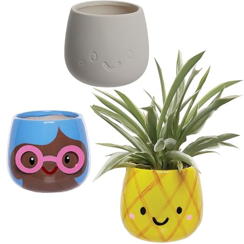 Baker Ross WA155 Grass Head Ceramic Flowerpots - Pack of 3, Ceramic Pots for Decorating and Growing Plants
