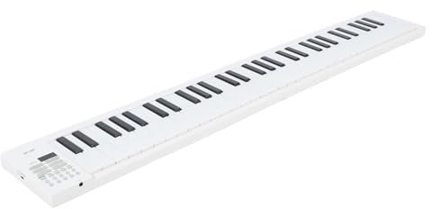 61 Key Folding Piano Keyboard, Portable Travel Piano Music Keyboard for Beginner, Electronic Piano with Recording and Playback, Piano Keyboard for Beginners