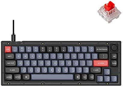 Keychron V2 kabelgebundener mechanischer Tastaturknopf, 65 % Layout, QMK/VIA programmierbar, kompatibel mit Mac Windows Linux (mattschwarz,durchscheinend)