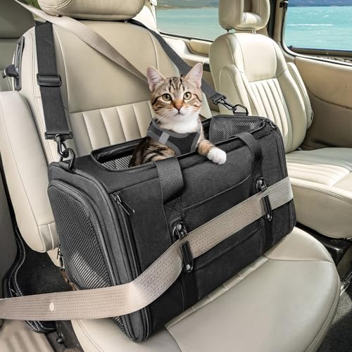Petsfit Transportbox Katze Hundebox Auto Katzentransportbox Transportbox Hund - Faltbare Tragetasche mit 2 Patent-Schnallen für Autositz, 4-seitigem Netz & Abnehmbarem Kissen, M/Schwarz