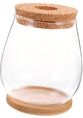 UKCOCO Plants Propagation Station Transparent Hydroponic Glass for Indoor Plant Display Landscape Terrarium with Base for Women
