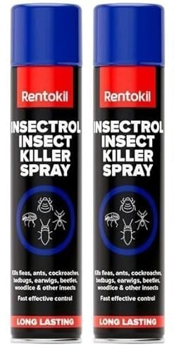 Rentokil Insectrol Insect Killer Spray 300ml - Aerosol Surface Insecticide for Fleas, Ants, Cockroaches, Bedbugs & Other Crawling Insects (2PCS)