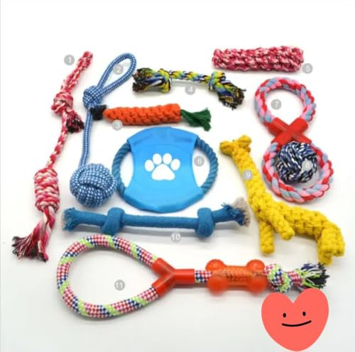 DANYPAC Set de 11 Juguetes de Cuerda para Perros, Mordedores Resistentes e Interactivos, para Perros Pequeños y Medianos