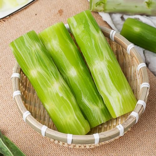 semillas de ensalada de espárragos de Lactuca sativa en resistentes de balcón de invernadero, 40pcs