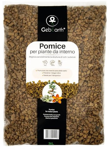 GebEarth® | Pomice per piante fine da 3/6 mm | Migliora la salute radicale di Bonsai e Piante Grasse | Leggera e ad alto potere drenante | Priva di calcare attivo e pH Neutro [3L]