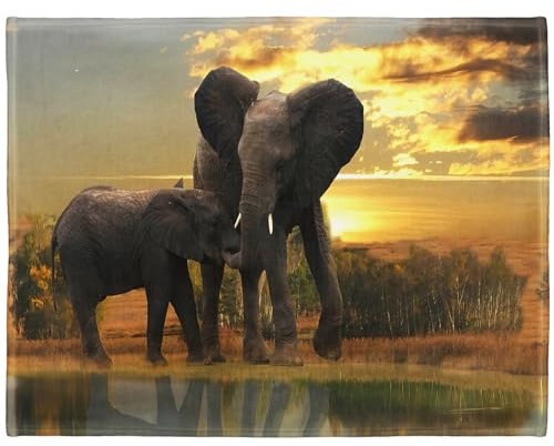 YISUMEI Decke 150x200 cm Kuscheldecken Sanft Flanell Weich Fleecedecke Bettüberwurf Mutter Elefant Kind