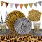52 Stk. Safari Partygeschirr Leopard Tischdecke, Pappteller, Servietten, Waldtiere Pappbecher und Girlande Kindergeburtstag Dekoration Dschungel Deko Leoparden Geburtstagsdeko