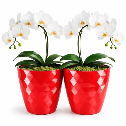 PECZEKO glänsande blomkrukor, plastväxtkrukor, dekorativ blomkruka för stora och små blommor, set om 2 blomkrukor, blomkruka, örtkruka, (2-pack) röd, ø 20 cm