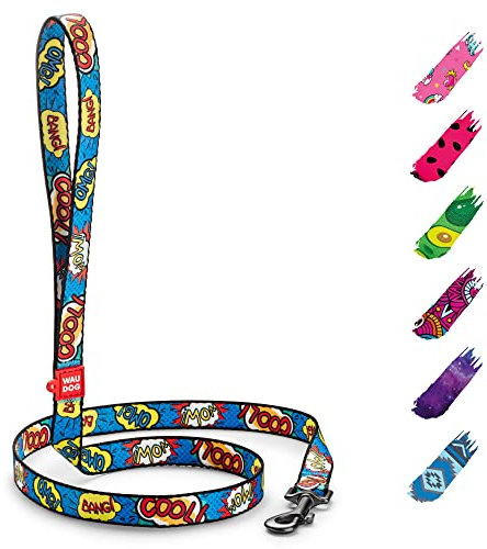 WAUDOG Nylon Leine Hund Große Hunde, Hundeleine Mittelgroße Hunde Leine für Kleinere Hunde, Hundeleine für Welpen, Hundeleine Nylon, Leinen für Hunde Schleppleine Hund