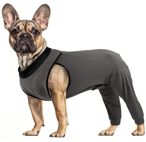 PUMYPOREITY Traje Recuperación para Perros, Body Post Cirugía Hembra Traje Recuperacion Quirurgica Perro Camisa de Recuperación Anti Lamiendo Perros Protector Después de La Cirugía(Gris, M)