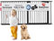 BabyDan Premier, Extra breit Ohne bohren Treppenschutzgitter, 158,3-165 cm, Babygitter/Sicherheitsgitter, Metall, Schwarz, Hergestellt in Dänemark - (Haustiergitter/Hundegitter)